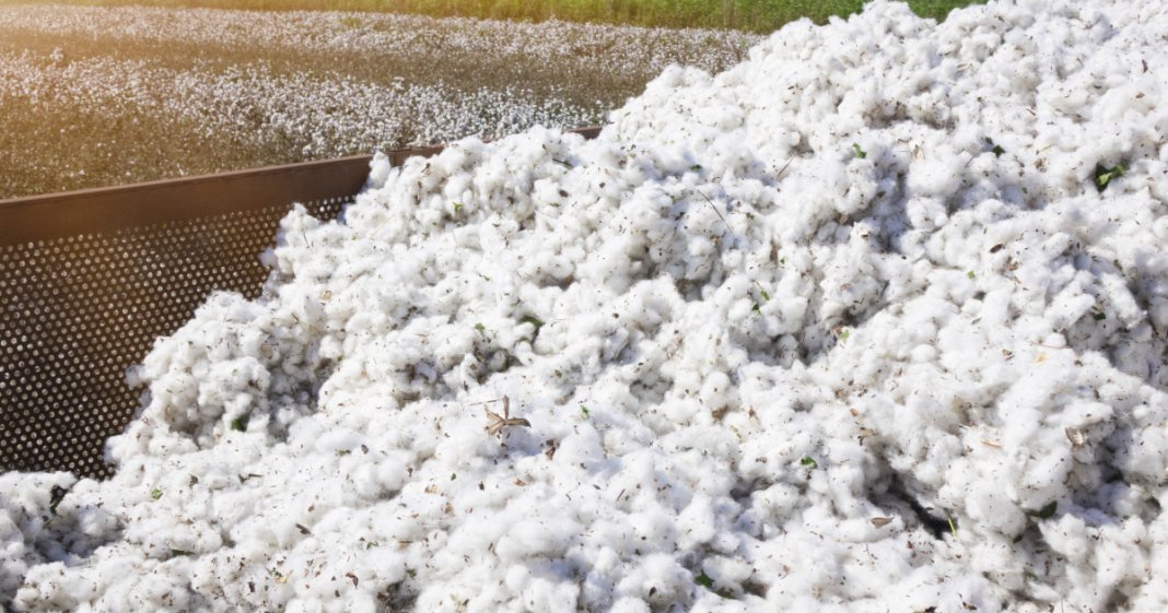 Guvernul va achita o obligație de peste 30 de ani către SUA, legată de un împrumut pentru achiziția de bumbac.