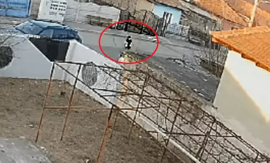 Doi copii omorâţi de câini: reacţii variate între Bucureşti, unde au fost acordate despăgubiri de 2.400.000 de euro, şi Craiova, unde nu s-a oferit nimic. Doi copii omorâţi de câini: reacţii variate între Bucureşti, unde au fost acordate despăgubiri de 2.400.000 de euro, şi Craiova, unde nu s-a oferit nimic.